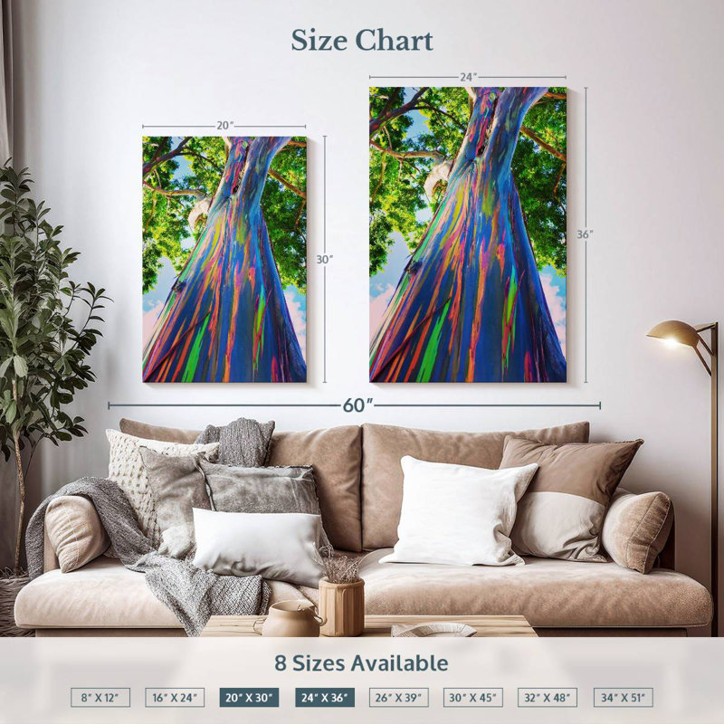 Harnek Hawaiian Rainbow Eucalyptus Tree, 36" H x 24" W