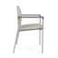 Chaise d'invité Chat Chat-98671304-98882117