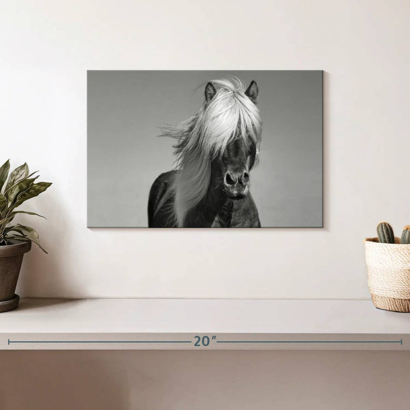 Brampt Pony, 8" H x 12" W