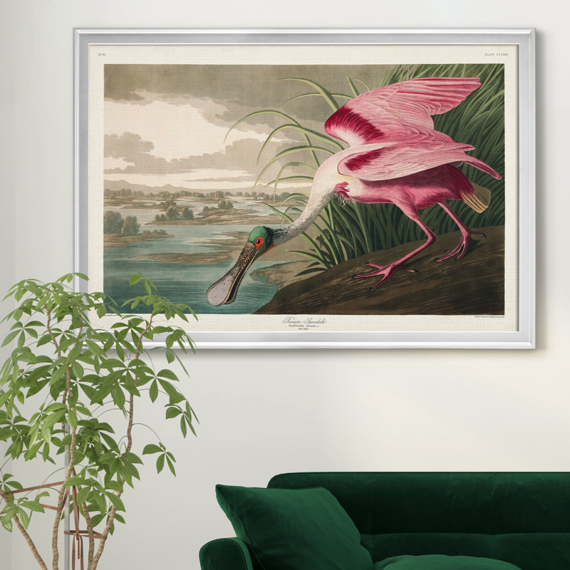 Roseat Spoonbill - reproduction de cadre photo sur toile, Argent, H 22,5 po x l 30,5 po x P 1,5 po