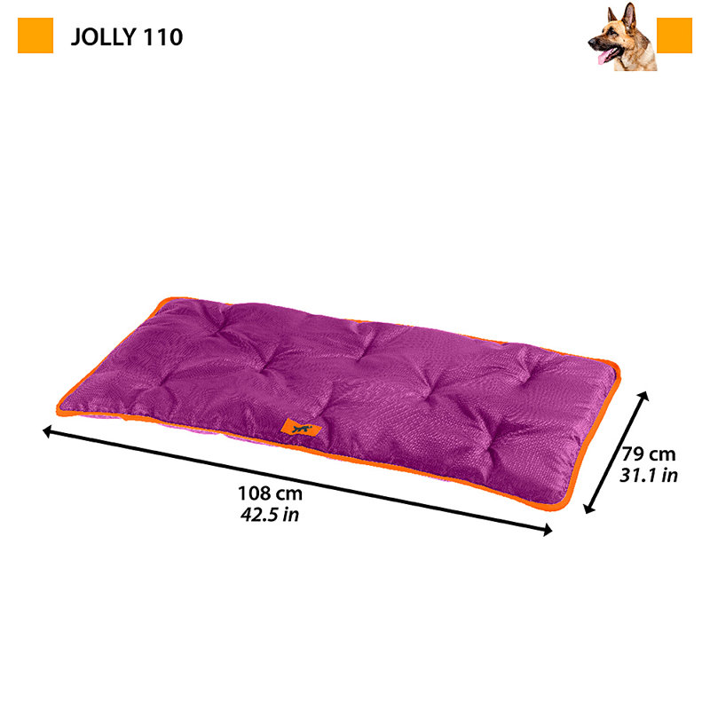 Ferplast Beddings Polyester Pet Bed, Grey, 3.5cm H x 79cm W x 108cm D