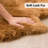 Charleigh Performance Sheepskin Indoor Rug-70657336