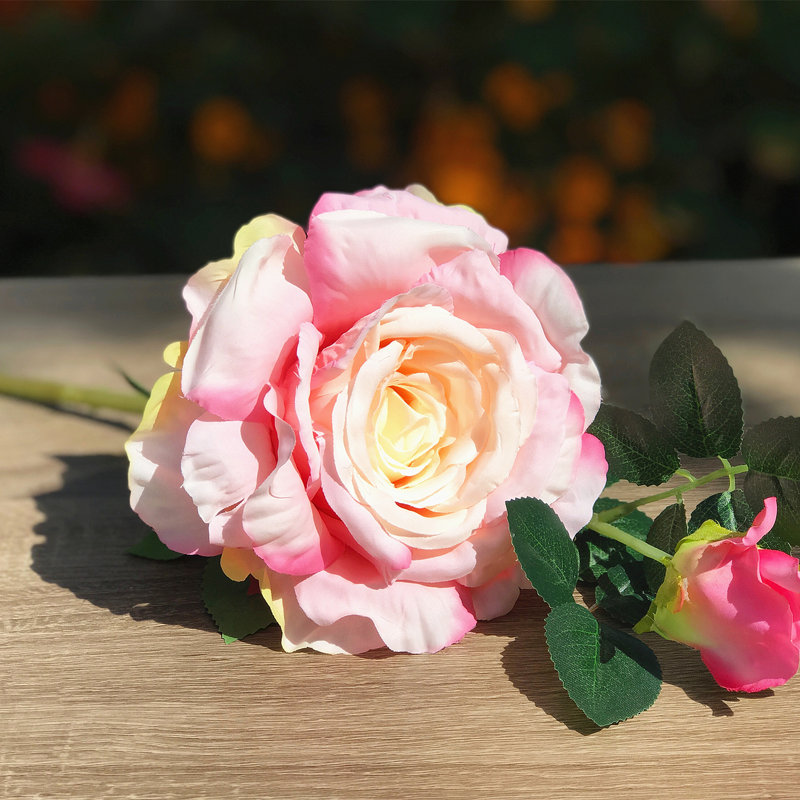 Fleurs et roses, Rose