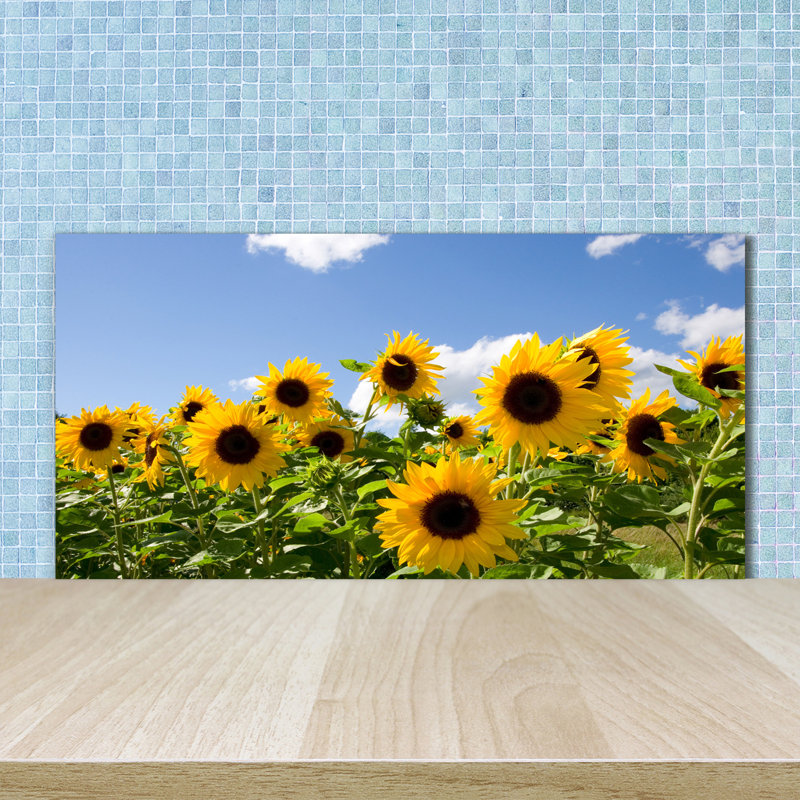 50cm W x 100cm L Glass Peel and Stick Panel