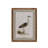 Wading Bird Prints, Set of 4