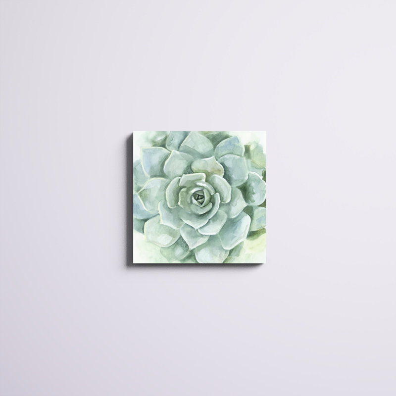 «Verdant Succulent I», peinture sur toile, H 20 po x l 20 po