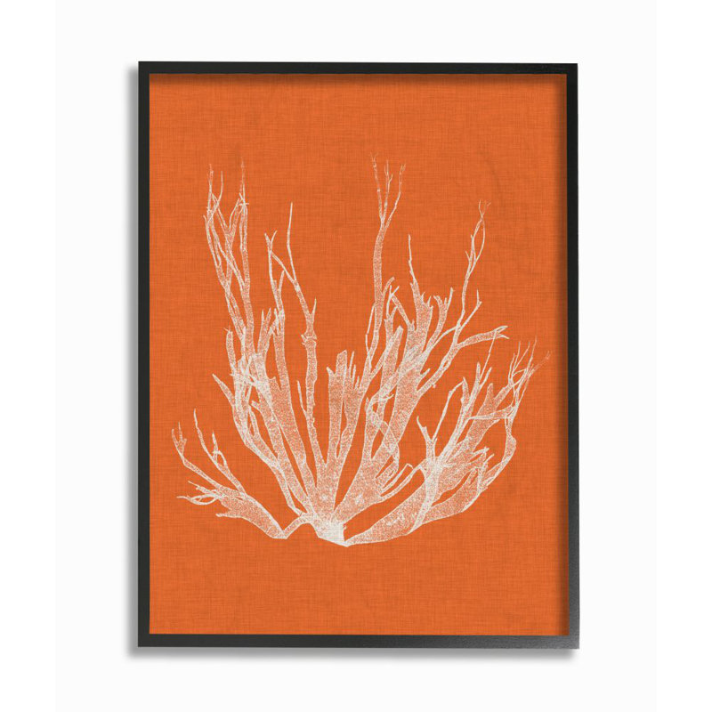 « corail, orange blanc beach », impression, H 24 po x l 30 po x P 1,5 po, Giclée encadrée noir minuit