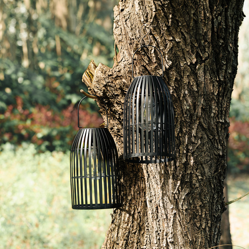 9.75'' Integrated LED Outdoor Lantern, Black