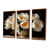 Toile avec cadre flottant brun