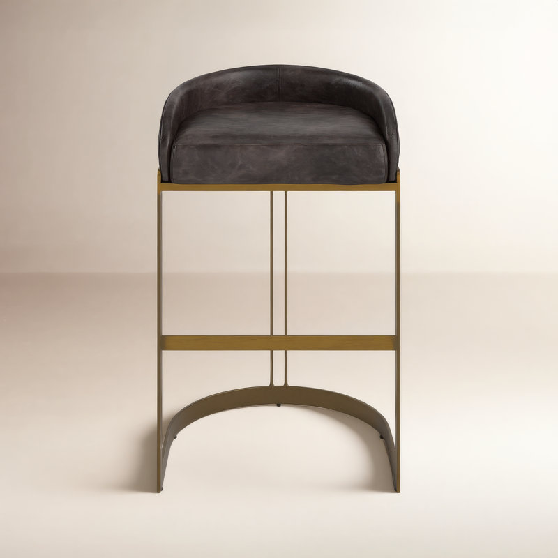 Bradley Genuine Leather Bar & Counter Stool, Black, Bar Stool (28.75" Seat Height)