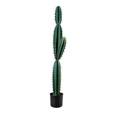 dünger für efeutute Efeutute kaufen | Epipremnum main image 1