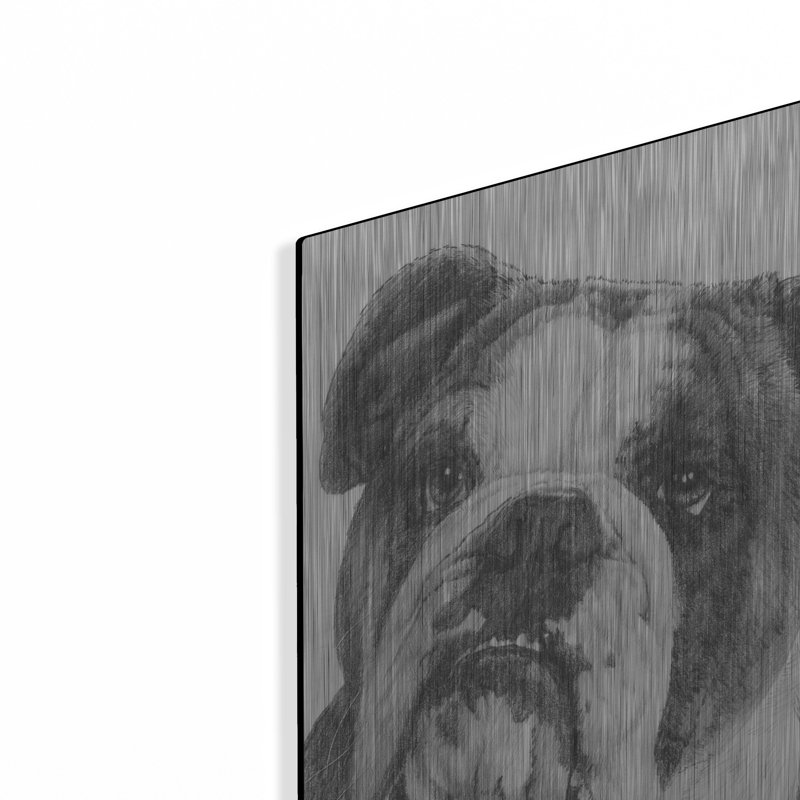 «American Bulldog» par Barbara Keith, H 24 po x l 16 po
