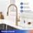 Rainlex Pull Down Kitchen Faucet