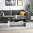 Modern Coffee Table,  2-tier Rectangular Center Table with Storage