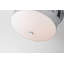 Epsilon Aged Brass Flushmount-2114557883