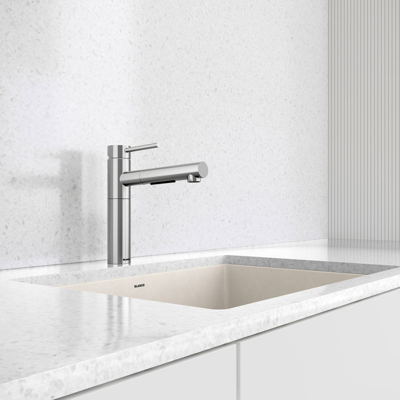 Alta II Low Arc Pull-Out Dual-Spray Kitchen Faucet, PVD Steel