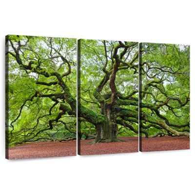 Harnek Lush Oak Tree