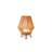 Alishka 33cm Battery Powered Integrated LED Outdoor Table Lamp
