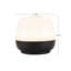 Lampe portable d'extérieur à DEL à intensité variable 3 po Wylla-98417641