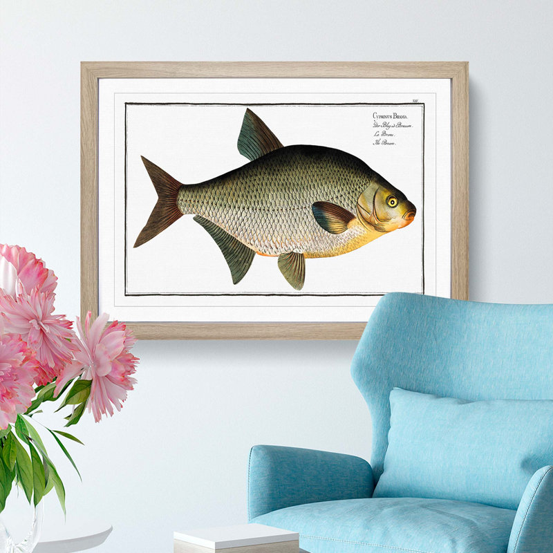Bream Fish - Picture Frame Painting Print, Oak Framed, 27cm H x 36cm W x 2cm D