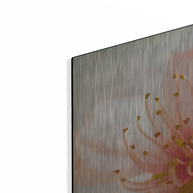 «Spring Whispers 3» par Jessica Rogers, H 12 po x l 12 po