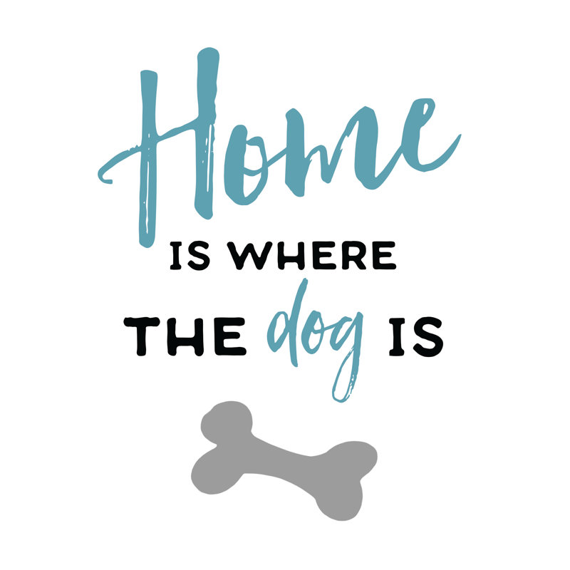 Home Where Dog Is - Wrapped Canvas Print, 30cm H x 20cm W x 3.8cm D