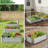 4x2 Ft Galvanized Steel Raised Garden Bed Kit - 1ft High, 48x24x12 Inch Outdoor Metal Planter Box for Vegetables, Herbs, Flowers & Plants | Easy Assembly, Rust-Resistant, Durable，set of 3-856242116-856242114