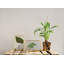 Cassidy Gold Metal Gilded Picture Frame - Set of 2