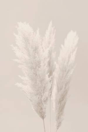 Wrapped Canvas Print, 50.8cm H x 76.2cm W