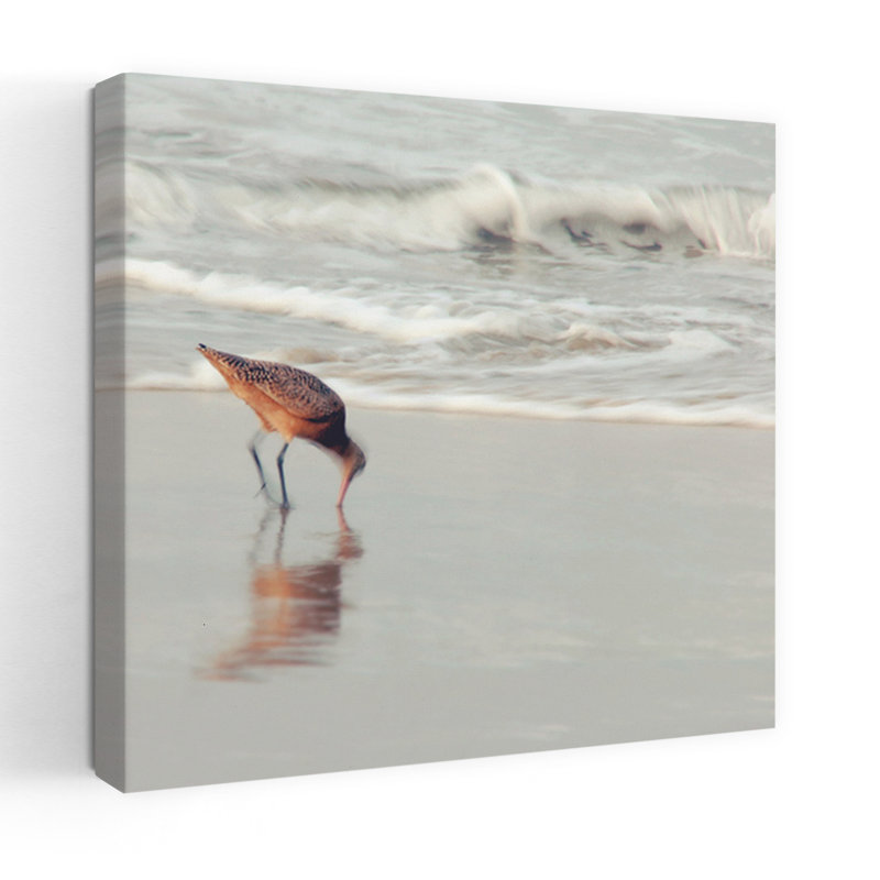 Oiseau de mer doux, art océanique côtier, H 18 po x l 18 po