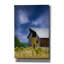«Gerhilde Old Barn In A Summer Field on Canvas» par Don Schwartz, reproduction-88591276