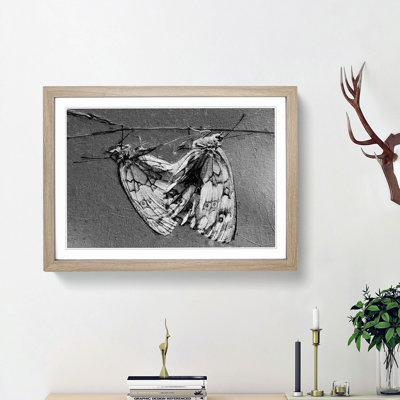 Two Butterflies - Picture Frame Painting Print