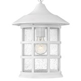 Freeport 1-Light Outdoor Hanging Lantern