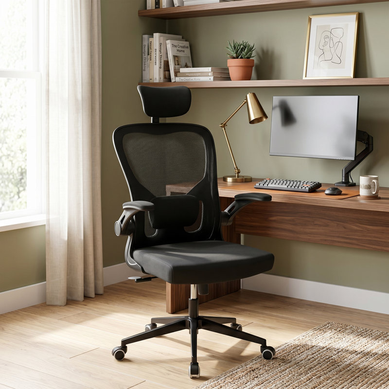 Nykeesha Ergonomic Office Chair, Home Office Desk Chairs with Lumbar Support, 3D Headrest and Flip Up Arms, Rockable Swivel