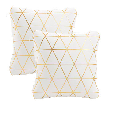 Coussin décoratif en velours