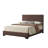Upholstered Low Profile Standard Bed-89169835-89169827