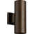 Oiled Bronze selected