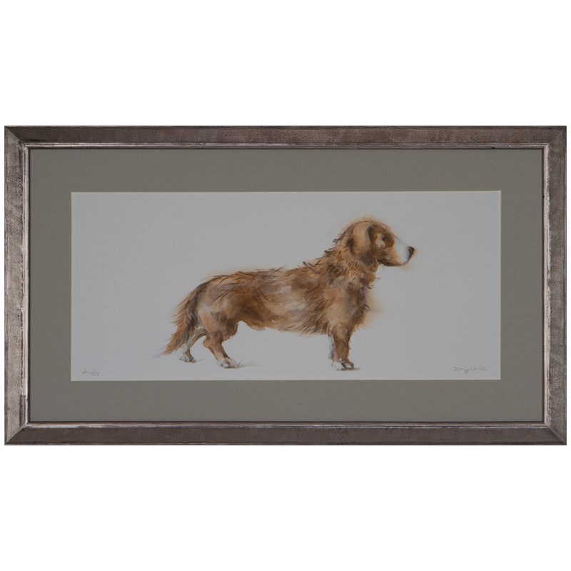 Sniffy Framed Print