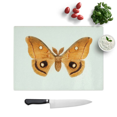 Tempered Glass Polyphemus Moth by S.F. Denton Chopping Board
