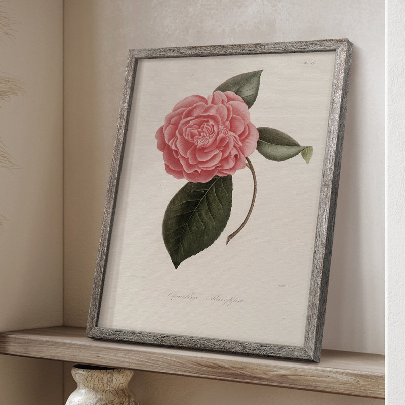 Impression florale vintage encadrée CXLI - bois massif, H 11 po x l 9 po