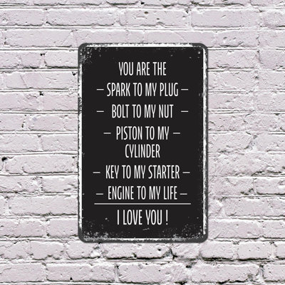 You Are the Spark to My Plug (2 Pack) 8 Inch x 12 Inch Plastic Sign