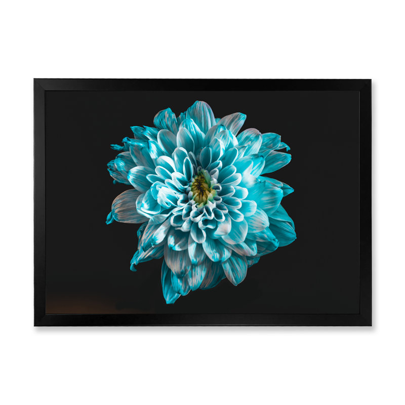 Gros plan d'une fleur avec des pétales bleus et blancs - reproduction sur toile, H 30 po x l 40 po x 1,5 po