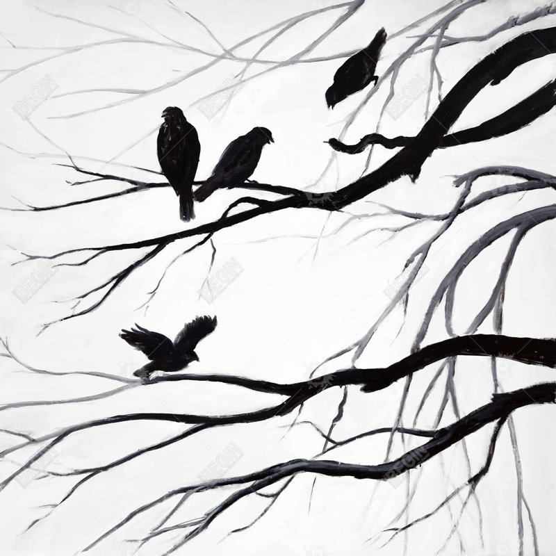 "Silhouette d'oiseaux"