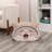 Emmogene Scratching Post-1122201019