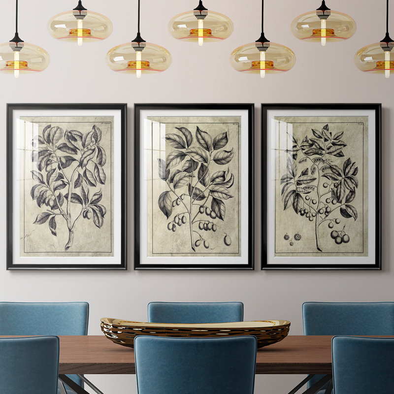 Feuillage antique embelli I - impression encadrée sur mesure de qualité supérieure - 3 pièces, H 21 po x l 30 po, Noir