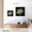 Magnolia pleine floraison-408976965