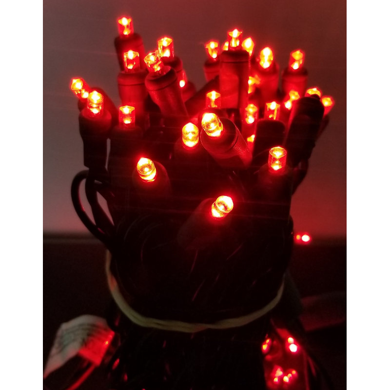 Harworth Indoor / Outdoor 80 - Bulb 39.5 in. Plug-in LED Wide Angle LED String Light, Green, Red