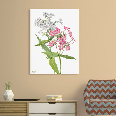 Perennial Phlox 1 Piece Wrapped Canvas Painting