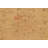 Wool Oriental Rug