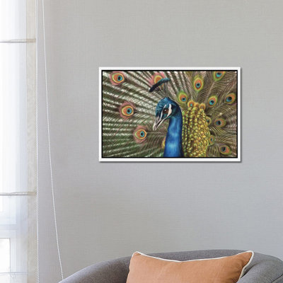 Peacock by Richard Macwee - Gallery-Wrapped Canvas Giclée on Canvas